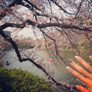 汤芳—乌苏里船歌写真
